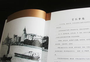 金融投資公司畫冊設(shè)計 金融投資畫冊設(shè)計 金融投資品牌設(shè)計 金融投資vi設(shè)計