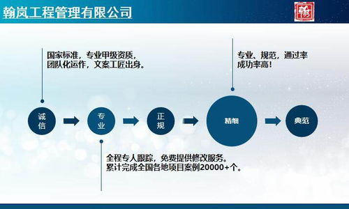 辛集項目實施方案撰制技術(shù)可靠的公司