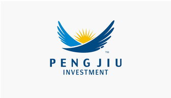 深圳華思品牌設(shè)計作品 原劉永清設(shè)計 鵬九投資品牌形象設(shè)計